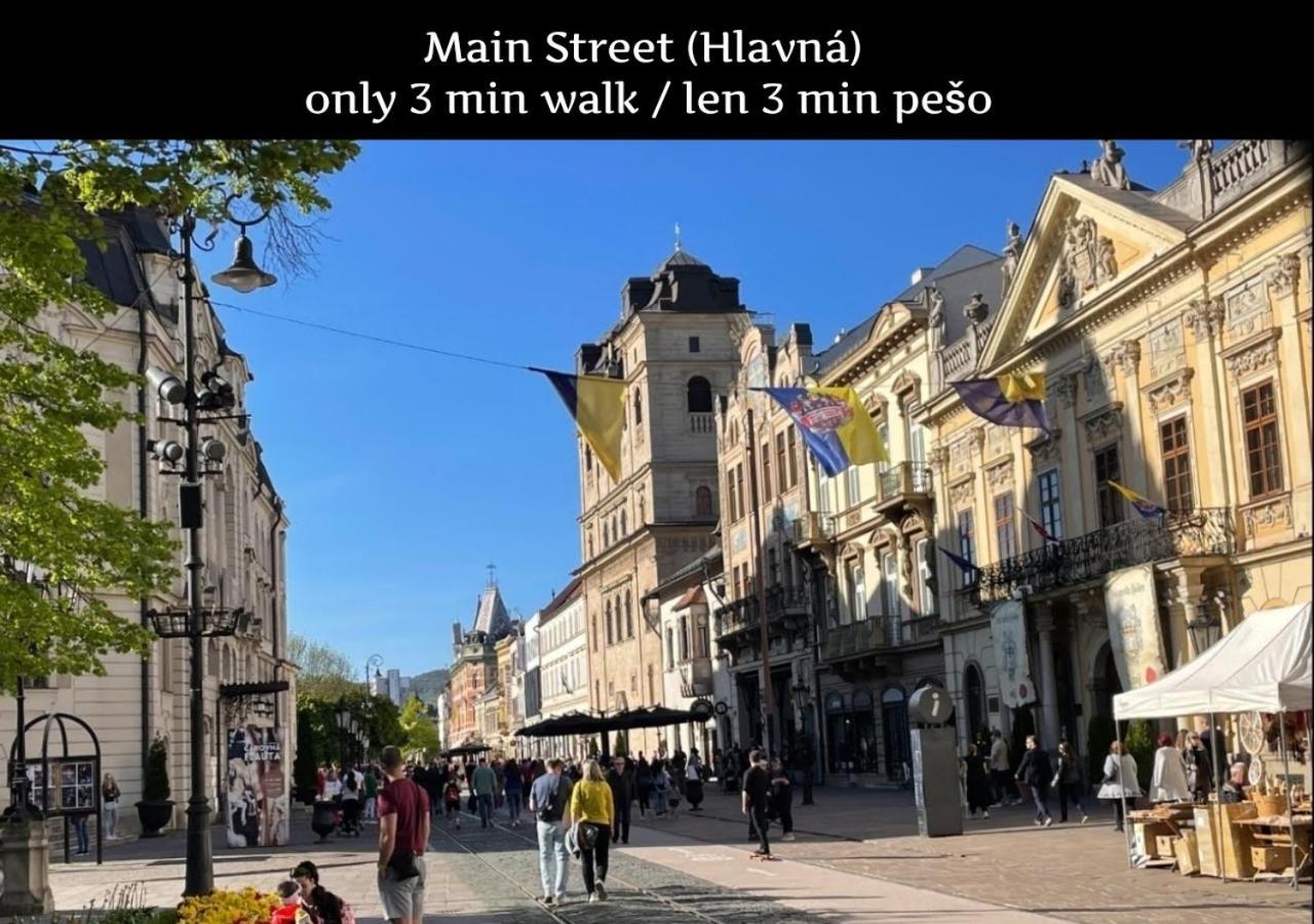 E1 Luxury Oldtown Apt - 2X Parking, Foodstore, Pcscreen, Netflix, Unlimited Music, Crib, Babychair, Fastwifi, Aircon Kosice Ngoại thất bức ảnh